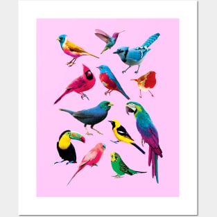 Colorful Birds Posters and Art